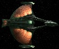 Romulan Griffin Class Pictures